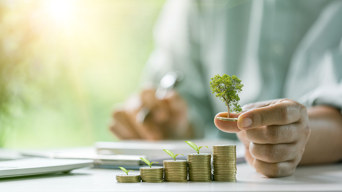 Dedos sosteniendo una pequeña planta que crece sobre una moneda