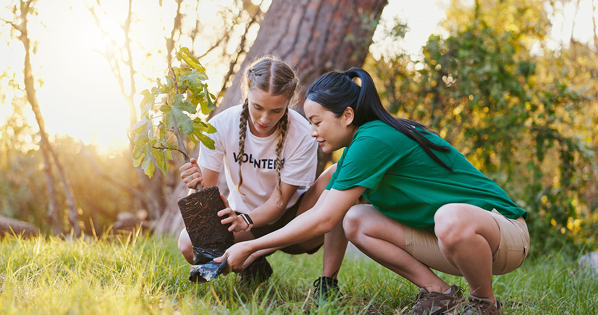 Dos mujeres jóvenes plantan un árbol en el bosque.